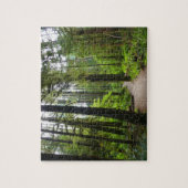 Puzzle Sentier vers Marymere Falls II (Vertical)