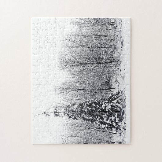 Puzzle séparation avec certitude (Vertical)