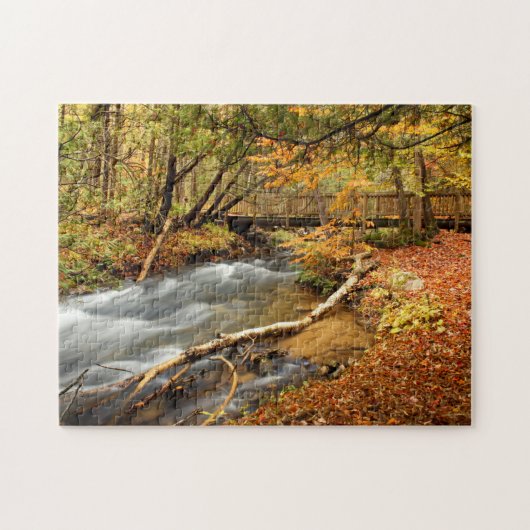 Puzzle Sept ponts (Horizontal)