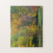 Puzzle Sept Sources Pont de la Cascade II Paysage d'autom (Vertical)
