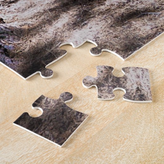 Puzzle Sequioa Tree Sequioa National Park California. Jig (Côté)