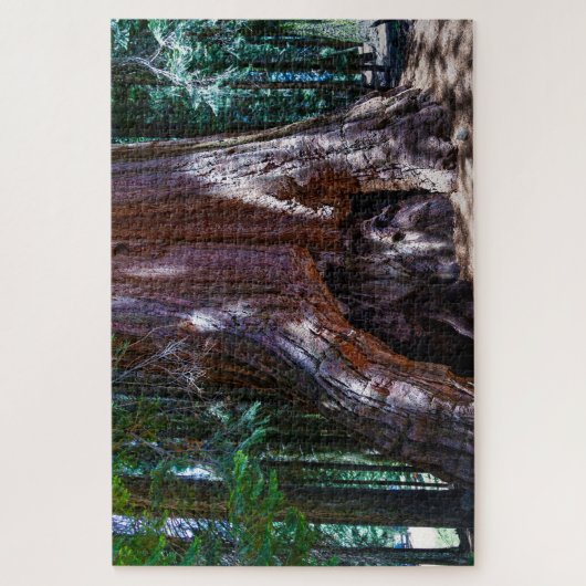 Puzzle Sequioa Tree Sequioa National Park California. Jig (Vertical)
