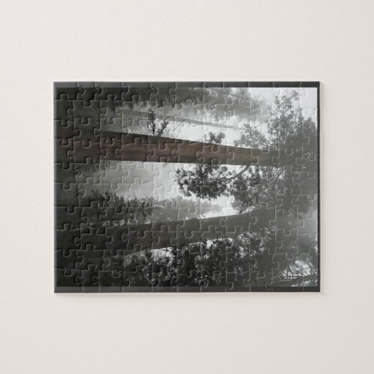 Puzzle Séquoia géantes dans le brouillard, CA (Horizontal)