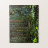 Puzzle Séquoias de Muir Woods National Monument (Vertical)