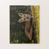 Puzzle Serene Fox (Vertical)