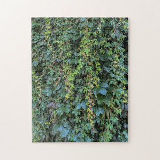 Puzzle Serene Green Ivy Wall Suspendre Vins Plantes Feuil