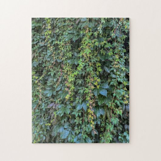 Puzzle Serene Green Ivy Wall Suspendre Vins Plantes Feuil (Vertical)
