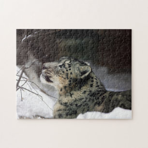 Puzzle Serene Snow Leopard