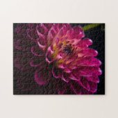 Puzzle Série de fleurs de gros plan : Dahlia (Horizontal)