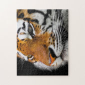 Puzzle Sérieux visage de tigre (Vertical)