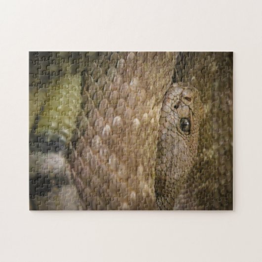 Puzzle serpent (Horizontal)