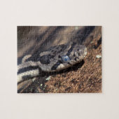 Puzzle serpent (Horizontal)