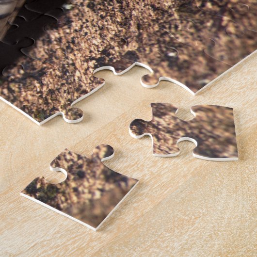 Puzzle serpent (Côté)