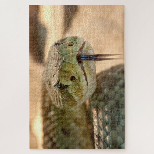 Puzzle Serpent à col roux (Vertical)