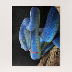 Puzzle Serpent bleu
