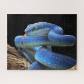 Puzzle Serpent bleu (Horizontal)