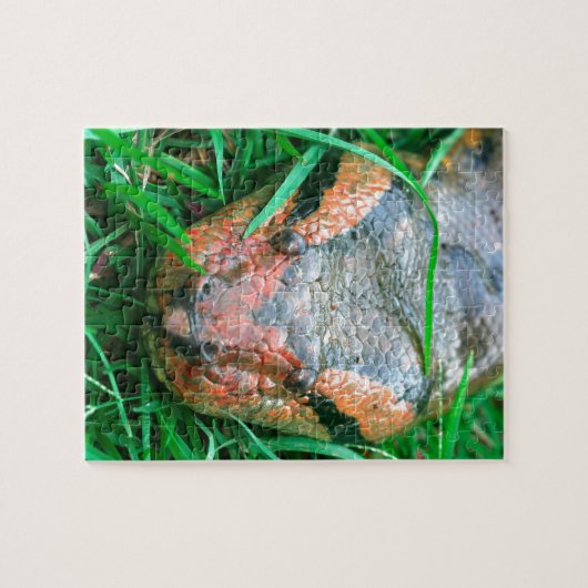 Puzzle Serpent d'Anaconda (Horizontal)