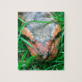 Puzzle Serpent d'Anaconda (Vertical)