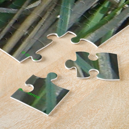 Puzzle Serpent de R4 Taureau (Côté)