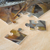 Puzzle Serpent de rat noir - Elaphe obsoleta obsoleta (Côté)