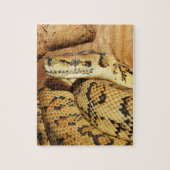 Puzzle serpent python (Vertical)