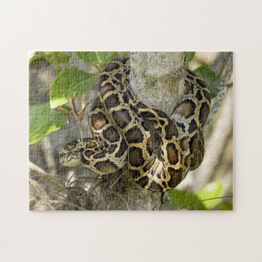 Puzzle Serpent python birman (Horizontal)