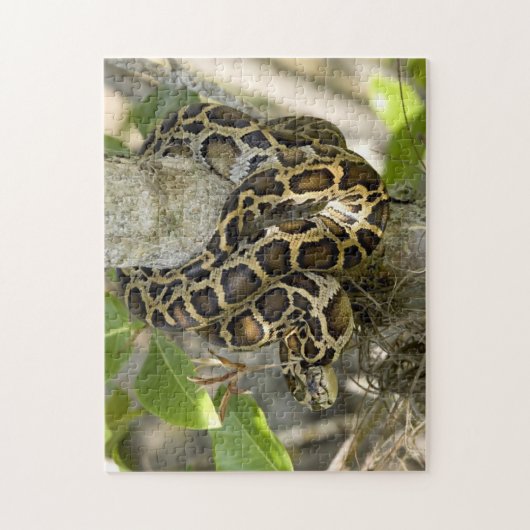 Puzzle Serpent python birman (Vertical)