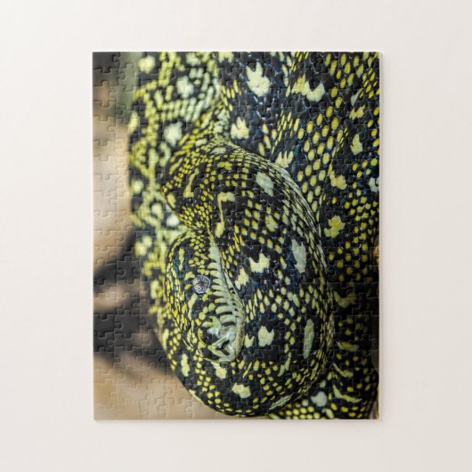 Puzzle Serpent Python de Tapis Jungle (Vertical)