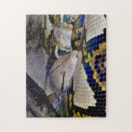 Puzzle Serpent Python réticulé (Vertical)