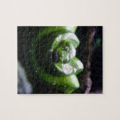 Puzzle Serpent vert (Horizontal)