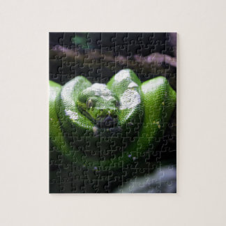 Puzzle Serpent vert