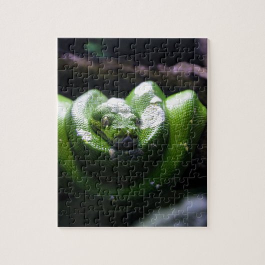 Puzzle Serpent vert (Vertical)