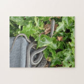 Puzzle Serpents vivants ! C'est un serpent de jarretière (Horizontal)