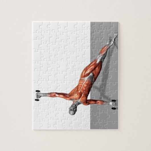 Puzzle Setanta Push Up 2 (Vertical)