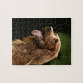Puzzle Setter 2 irlandais (Horizontal)