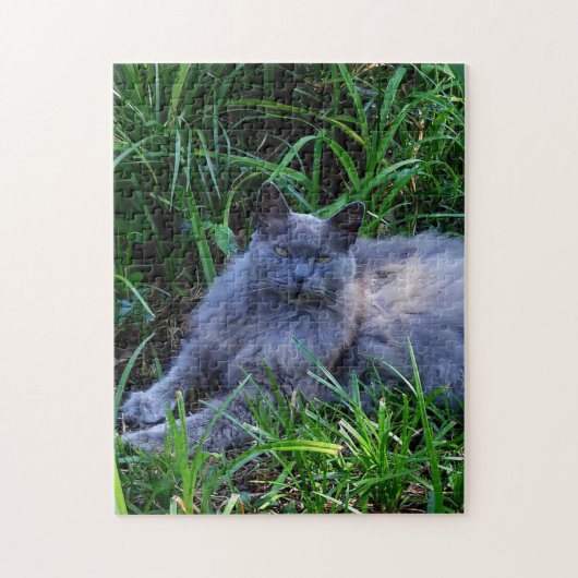 Puzzle Sgolis Grey Maine Coon Cat Challenging Photo (Vertical)