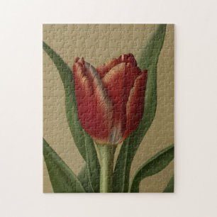 Puzzle Shabby Chic Jolie Tulipe Rouge
