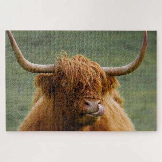Puzzle Shaggy Haired Scotland Highland (Horizontal)