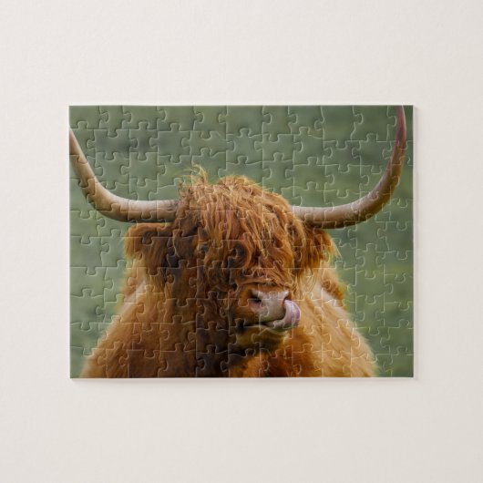 Puzzle Shaggy Haired Scottish Highland Cow Nature Animal (Horizontal)
