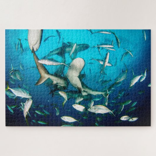 Puzzle Shark sous-marin Frenzy 20"x30" (Horizontal)