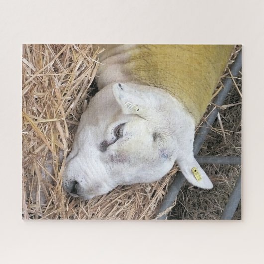 PUZZLE SHEEP (Horizontal)