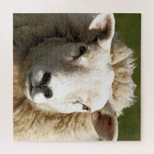PUZZLE SHEEP (Horizontal)