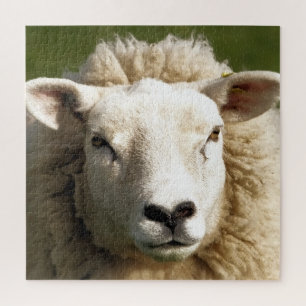 PUZZLE SHEEP