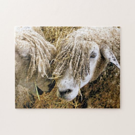 PUZZLE SHEEP (Horizontal)