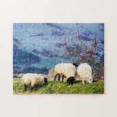 PUZZLE SHEEP (Horizontal)