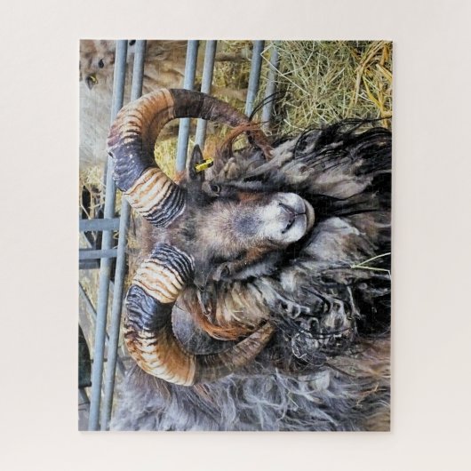 PUZZLE SHEEP (Vertical)