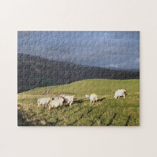 PUZZLE SHEEP DE MONTAGNE (Horizontal)
