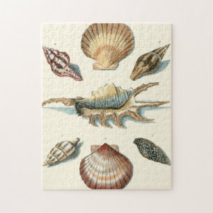Puzzle Shell de fantaisie échouent