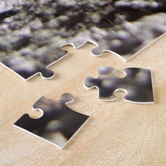 Puzzle Shell du Canada (Côté)