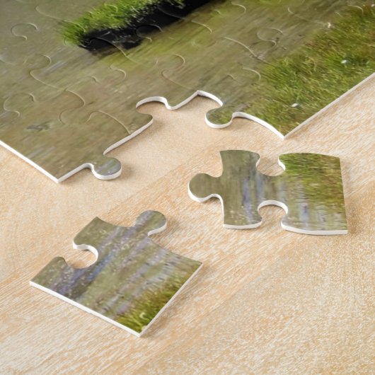 Puzzle Shell Lake, Tioga Pass, (Côté)